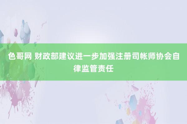 色哥网 财政部建议进一步加强注册司帐师协会自律监管责任